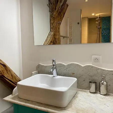 Au Cheval Blanc - Et D'hotes 住宿加早餐酒店 阿尔贝维尔