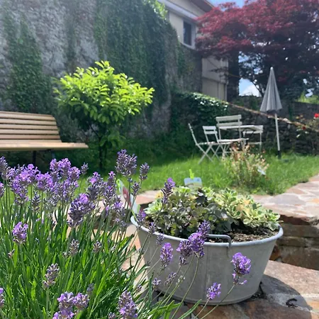 Au Cheval Blanc - Et D'hotes 3* 阿尔贝维尔